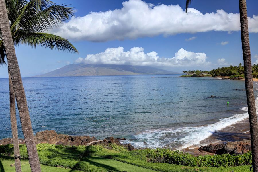 Palms and the ocean with West Maui on the horizon