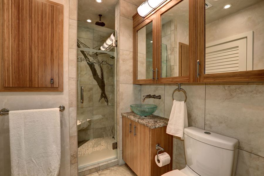 Guest bathroom with glass shower