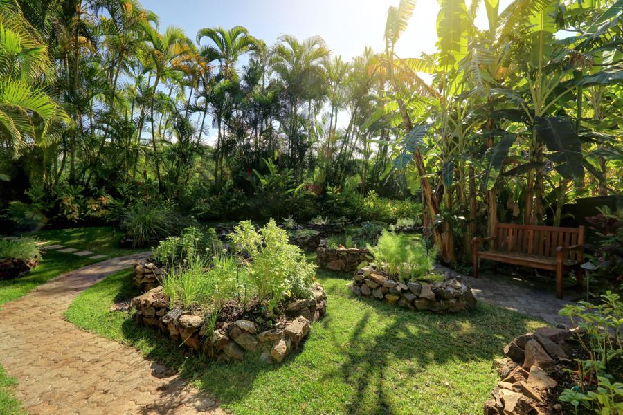 One of the guest herb gardens