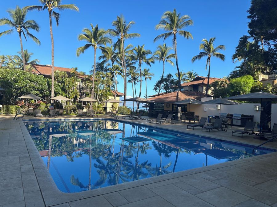 The south pool surrounded by palms