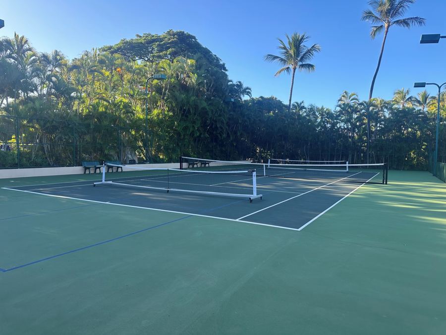 Tennis and pickleball court